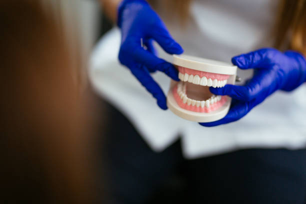 Dental X-Rays and Imaging in Carbondale, IL